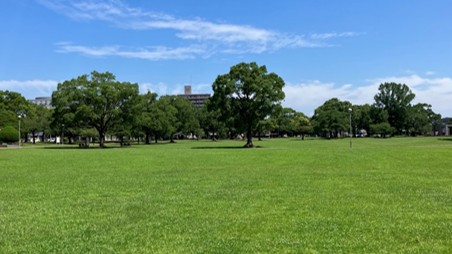 県総合文化公園　通常時