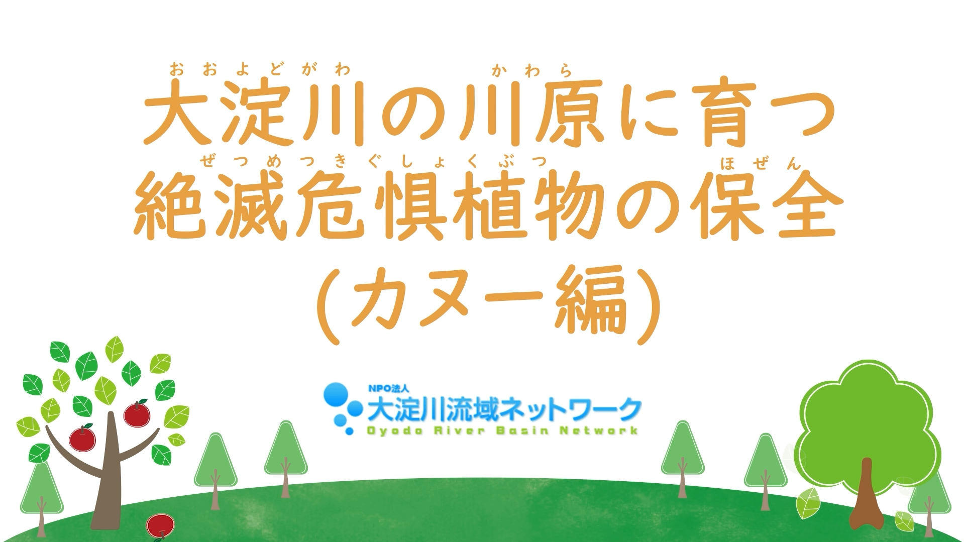 大淀川の川原に育つ絶滅危惧植物の保全【カヌー編】